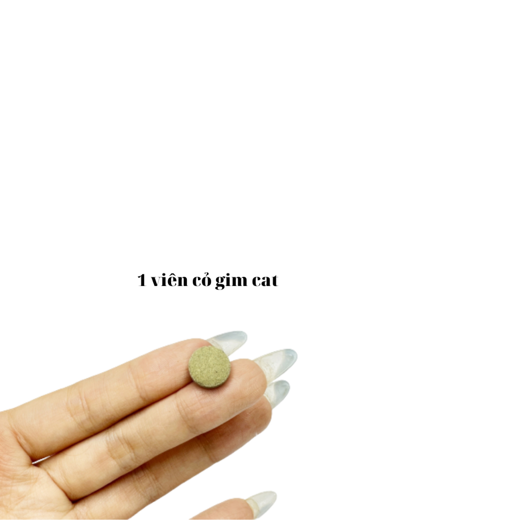 Viên Phô Mai và Cỏ Mèo GIMCAT, bổ xung dinh dưỡng, đẹp lông, hỗ trợ tiêu hoá, giảm búi lông gói 50 viên -Lượm Cat-