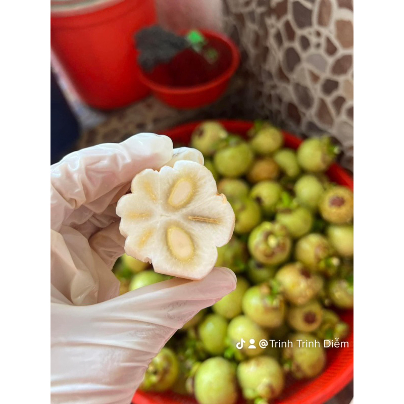 COMBO MĂNG CỤT XANH BẾN TRE