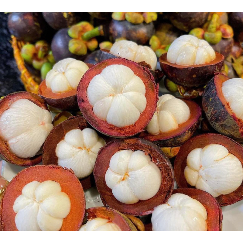 HoTTrEnd 🔥combo 5kg🔥Măng cụt chín và xanh nhà vườn thơm ngon giòn ngọt