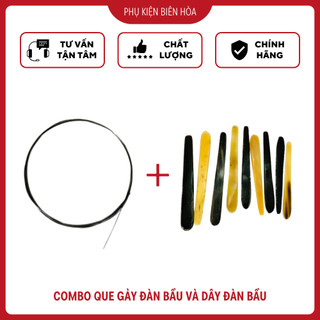 Combo que gảy đàn bầu và dây đàn bầu