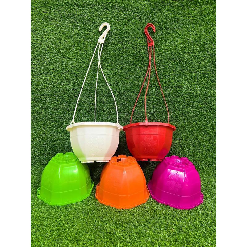 Chậu nhựa treo trồng cây