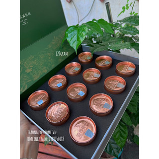 Trà thân cây hoa lan (thạch hộc tía hàng tinh tuyển)