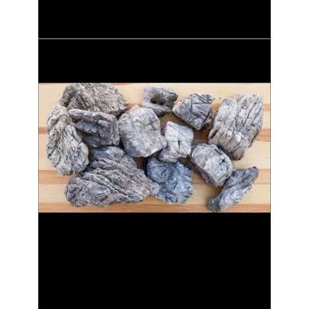 Đá Da Voi 1 Kg - Đá Trang Trí Bể Cá Cảnh, Bể Thủy Sinh