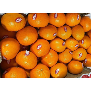 Quýt Ai Cập S50 -1KG Foodmap Fruits