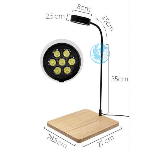 Đèn led đế gỗ để bàn , dùng để chiếu sáng cho terarium, bình thủy sinh