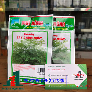Hạt giống chùm ngây 1g