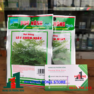 Hạt giống chùm ngây 1g