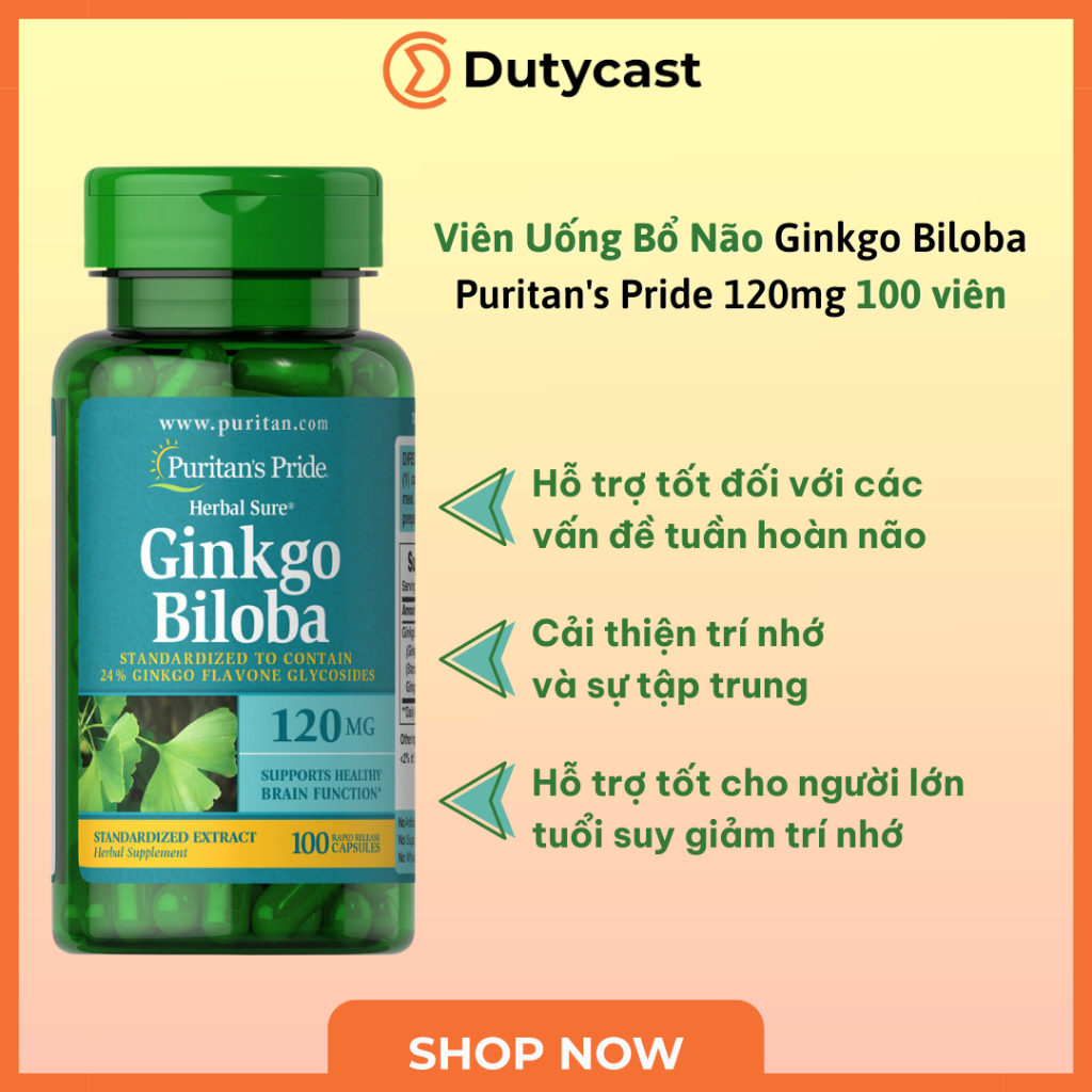 Viên Uống Hỗ Trợ Bổ Não Tăng Cường Tuần Hoàn Não Ginkgo Biloba Puritan’s Pride 100 viên