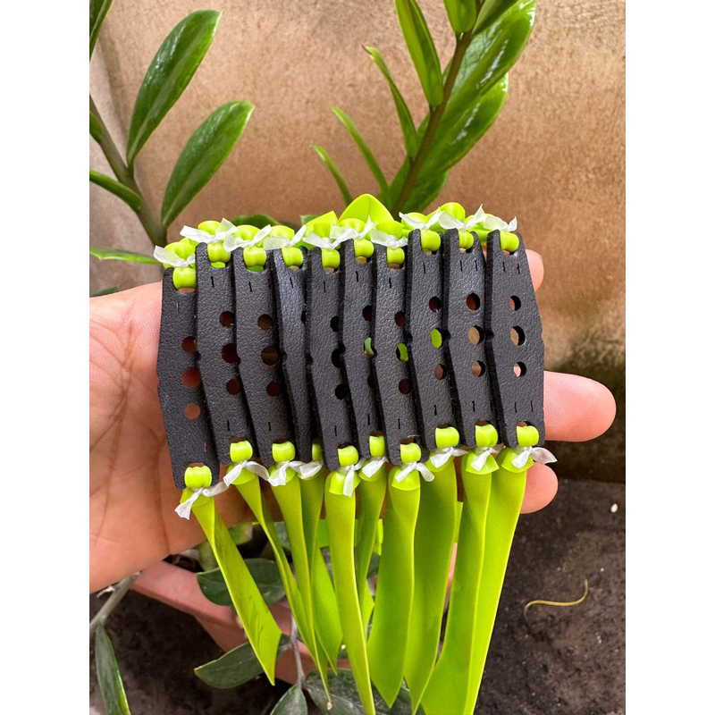 Thun super hunter 0,65 xanh chuối cột sẵn khổ 13-19-150