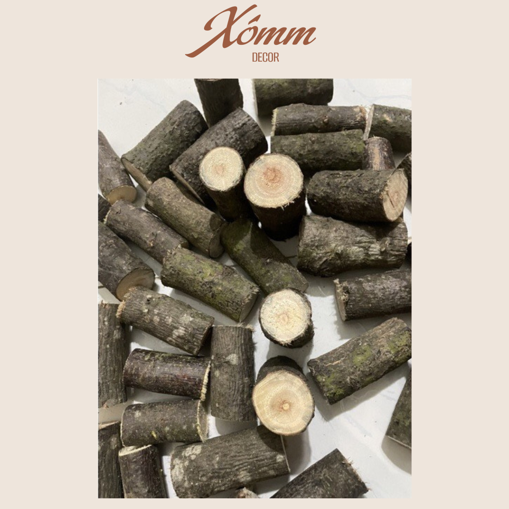 Khúc gỗ tự nhiên trang trí decor đk 3-8cm, dài 5-10cm, miếng gỗ tròn, củi khô trang trí giáng sinh, góc học tập
