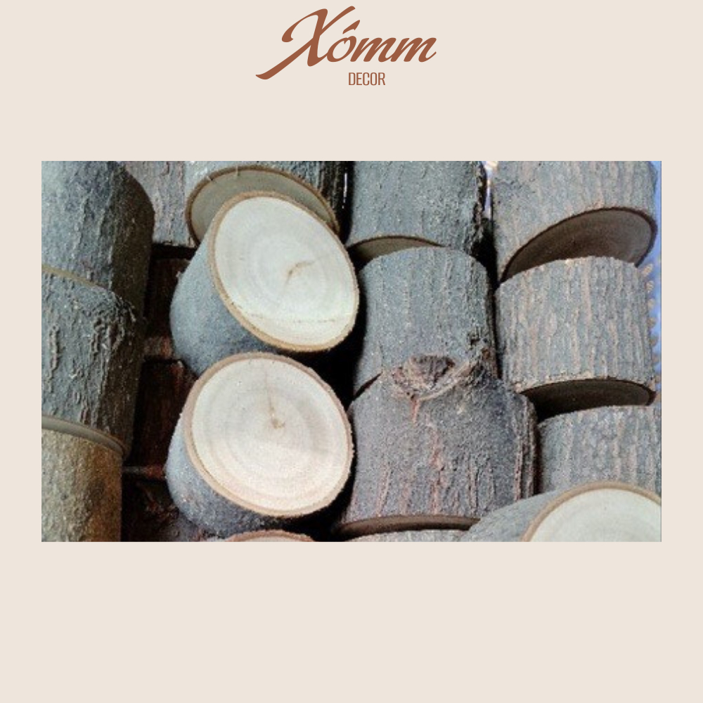 Khúc gỗ tự nhiên trang trí decor đk 3-8cm, dài 5-10cm, miếng gỗ tròn, củi khô trang trí giáng sinh, góc học tập