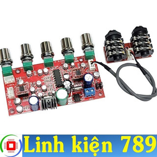 Mạch micro karaoke 12v đơn v3 nguồn vào 12-24vdc