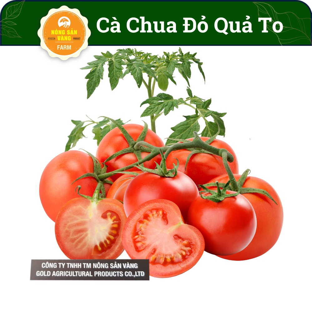 Hạt giống Cà Chua Đỏ Quả To, Quả Cà Chua Màu Đỏ Tươi Đẹp Mắt, Kích Thước To Hơn Cà Chua Thông Thường (Gói 50 Hạt) - Nông