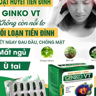 Hoạt huyết tiền đình ginko vt