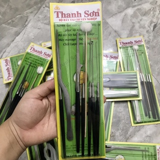 Bộ dụng cụ lấy ráy tai Thanh Sơn 8 món