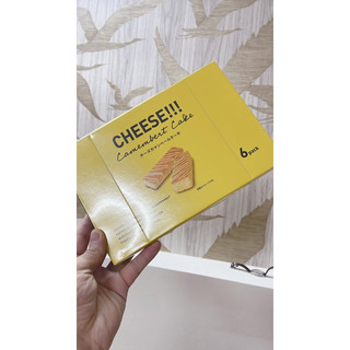 Bánh Cheese Camembert Cake Nhật Bản