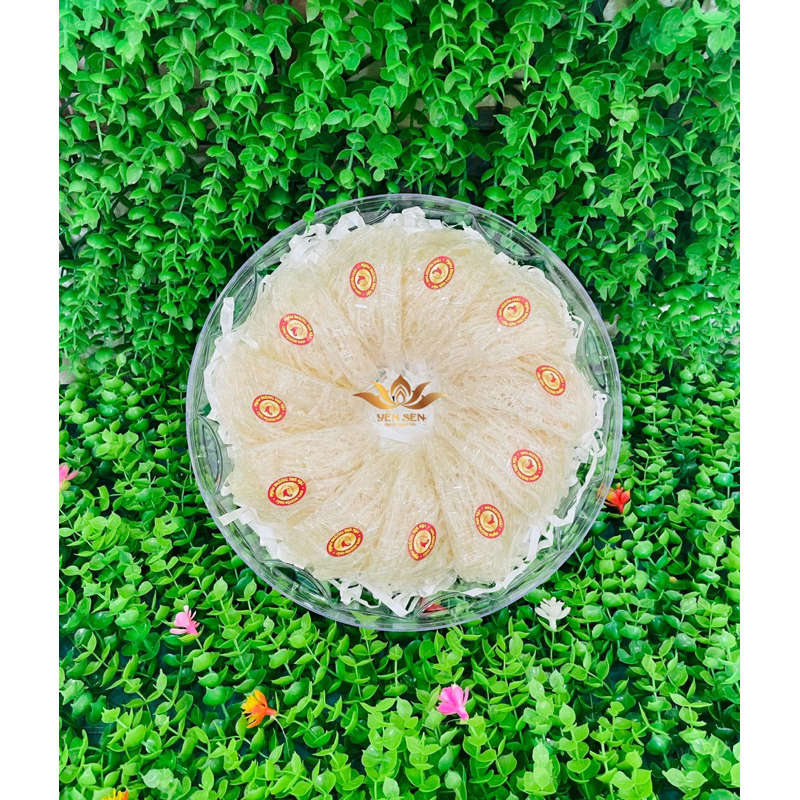 100 TEM VỠ DÁN TỔ YẾN SÀO CAO CẤP GIÁ RẺ/CHẤT LƯỢNG TỐT