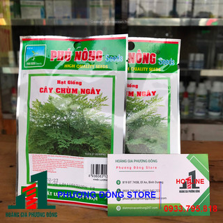Hạt giống chùm ngây 1g