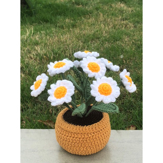 Chậu hoa cúc để bàn-Chậu hoa len-Quà tặng handmade