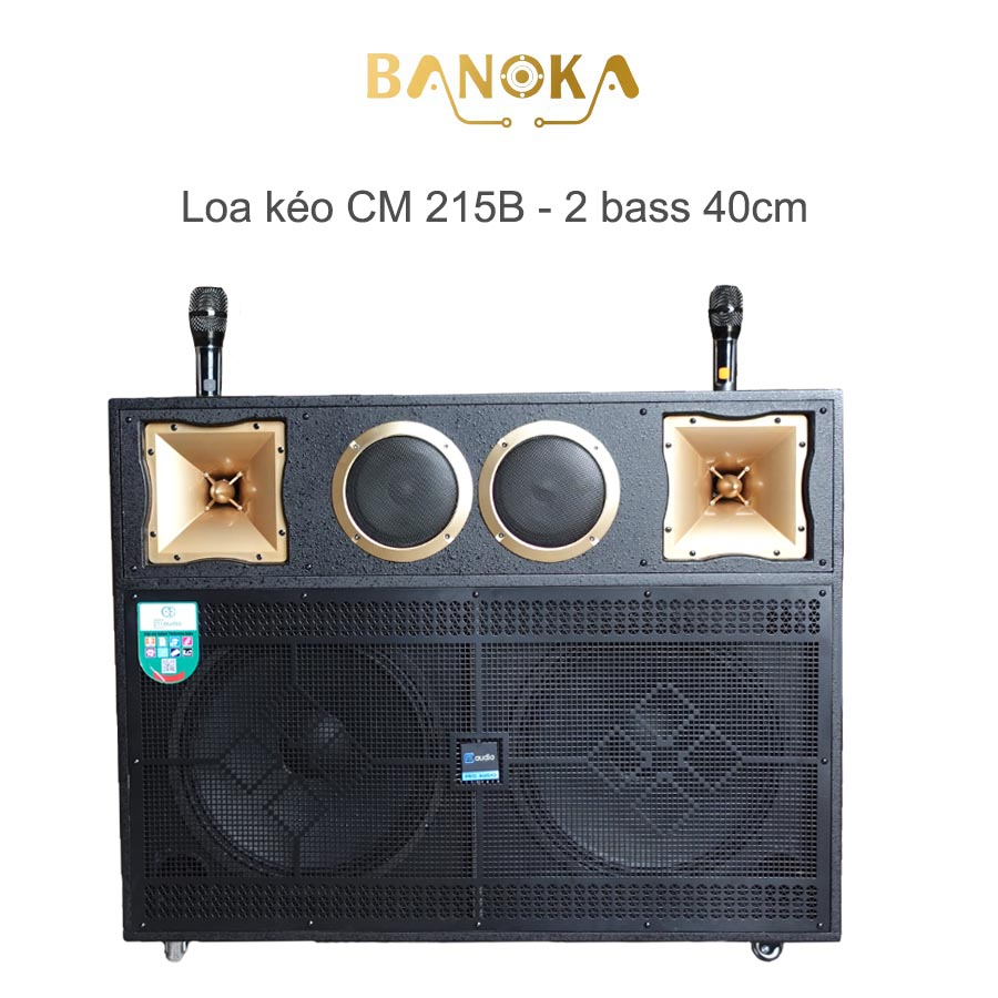 (1500W)Loa Tủ KARAOKE CM 215Plus-Loa 2 Bass 40cm-2 Loa Trung-2 Loa Treble kèn-Có Reverb, Khiển từ xa, Bluetooth-...