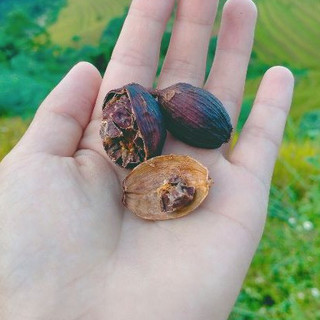 Thảo quả khô Tây bắc 400g
