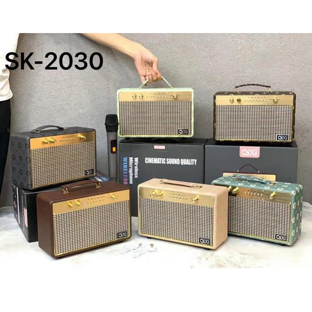 Loa Karaoke Bluetooth Qixi Sk 2030, Âm Bass Cực Hay, Thiết Kế Sang Trọng, Kết Nối Bluetooth, TF, USB