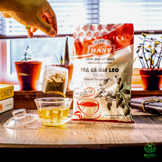 Trà Cà Gai Leo HANY 50 túi lọc Đặc Sản Đà Lạt