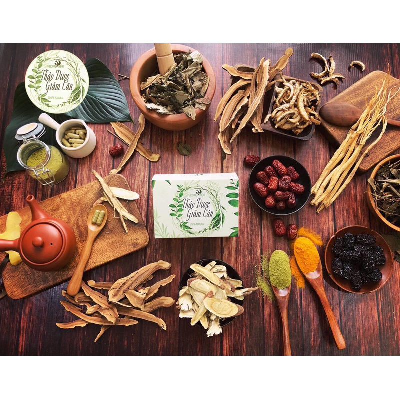 THẢO DƯỢC HƯƠNG THẢO