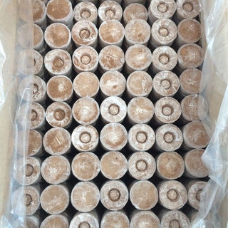 100 VIÊN NÉN XƠ DỪA Ươm Hạt, Trồng Rau Thủy Canh, Ươm Cây Giống