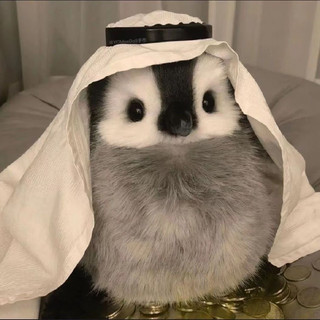 Gấu bông hoàng tử qatar chim cánh cụt tìm vợ lùn một mẩu được cái giàu và cute