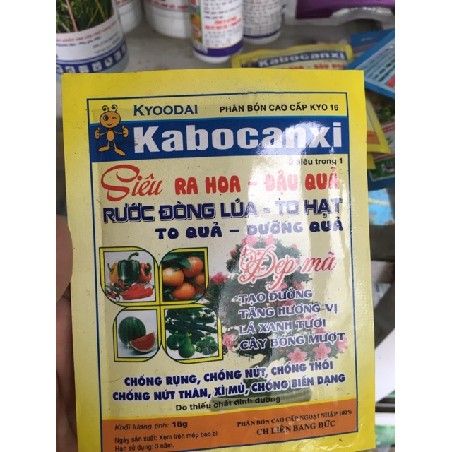 Phân bón Kabocanxi - kích ra hoa đậu quả dùng cho cây dâu tây, bầu bí, dưa chuột, đậu, cây ăn trái,..