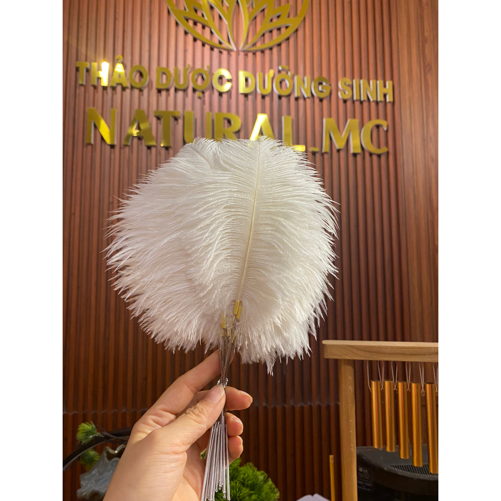 Lông thư giãn sắc màu mềm đẹp - trang trí - dưỡng sinh Trung Hoa
