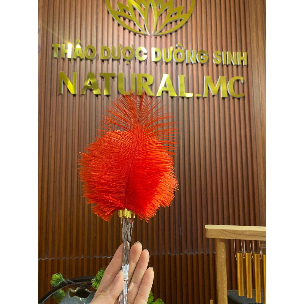 Lông thư giãn sắc màu mềm đẹp - trang trí - dưỡng sinh Trung Hoa