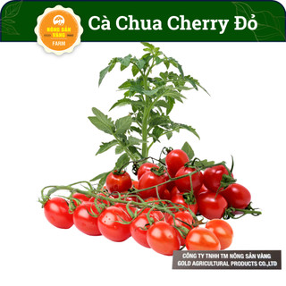 Hạt giống Cà Chua Cherry Đỏ F1, Năng Suất Cao (Gói 20 hạt) - Nông Sản Vàng
