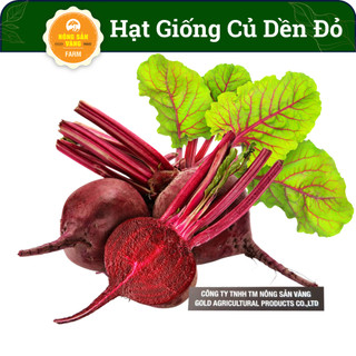 Hạt giống Củ Dền Đỏ Gói 5 Gram, Củ Tròn Cao, Vỏ Màu Tím Đậm, Thịt Củ Chắc - Nông Sản Vàng
