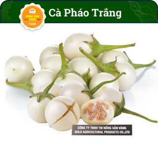 Hạt giống cà pháo trắng, siêu giòn, sinh trưởng khỏe, năng suất cao - nông sản vàng