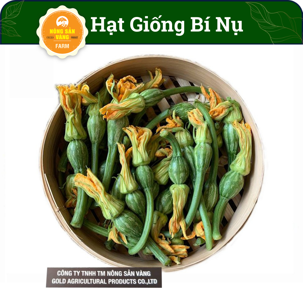 Hạt Giống Bí Nụ Ăn Non Giòn, Ngọt (gói 10 Hạt), Siêu Nụ, Dễ Trồng Và Chăm Sóc, Kháng Bệnh Tốt - Nông Sản Vàng