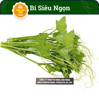 Hạt giống Bí Siêu Ngọn, Bí Lấy Ngọn, Năng Suất Cao (Gói 10 Gram) - Nông Sản Vàng