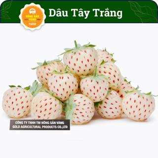Hạt giống dâu tây dứa vị dễ nghiền và nhiều giá trị dinh dưỡng - nông sản vàng