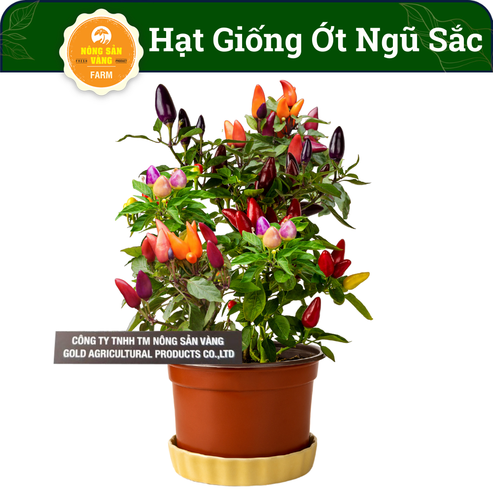 Hạt giống Ớt Ngũ Sắc, Dễ Trồng, Đẹp Mắt, Cây Vừa Làm Cảnh Vừa Làm Gia Vị (Gói 40 Hạt) - Nông Sản Vàng