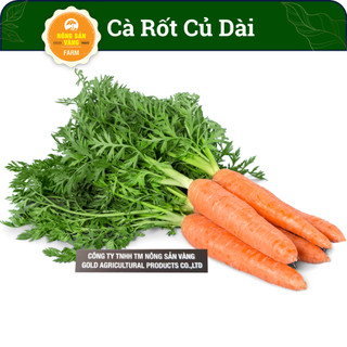 Hạt giống cà rốt củ dài f1 giàu vitamin thiết yếu cho cơ thể, được ưu thích nhất - nông sản vàng