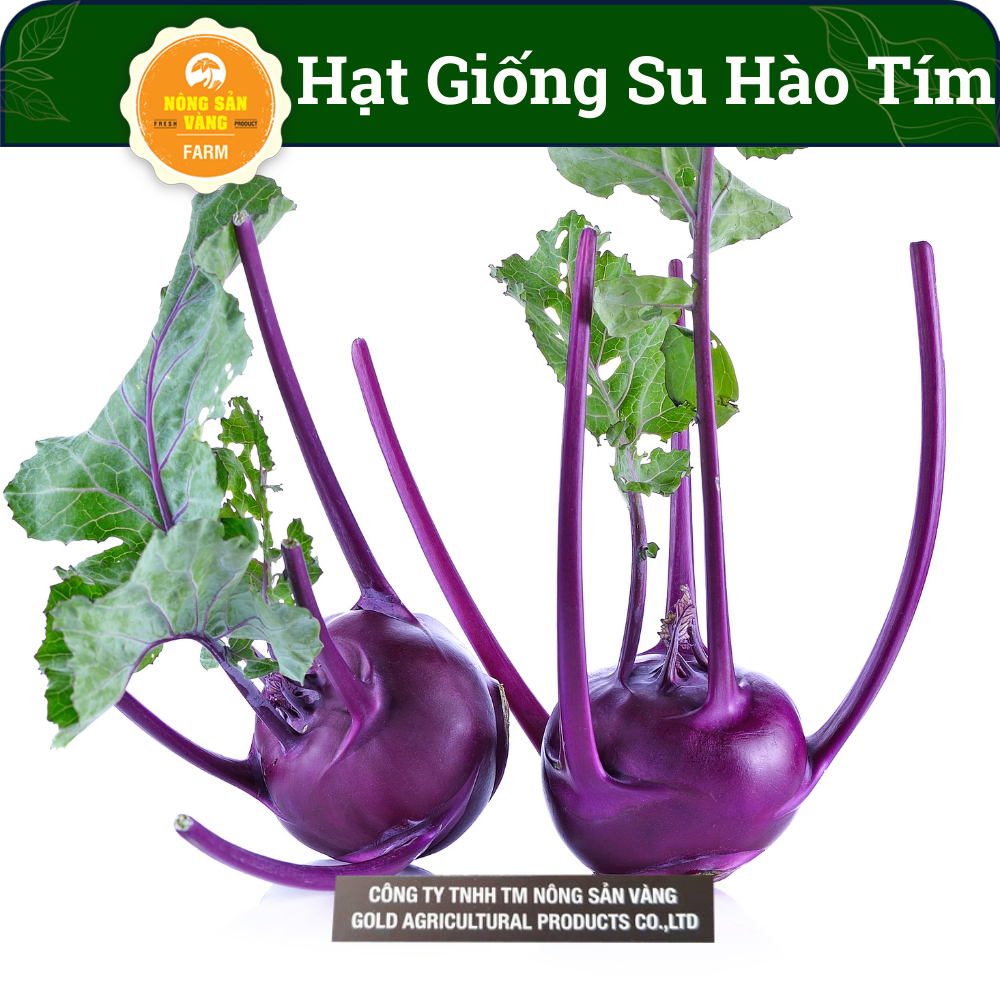 Hạt Giống Su Hào Tím Giá Trị Dinh Dưỡng Cao, Thích Hợp Khí Hậu Việt Nam (Gói 0.5g) - Nông Sản Vàng