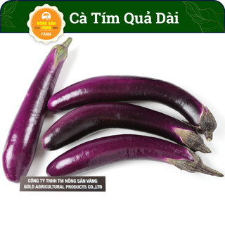 Hạt giống Cà Tím Quả Dài, Nảy Mầm Cao, Sinh Trưởng Và Phát Triển Khỏe (Gói 1 Gram) - Nông Sản Vàng