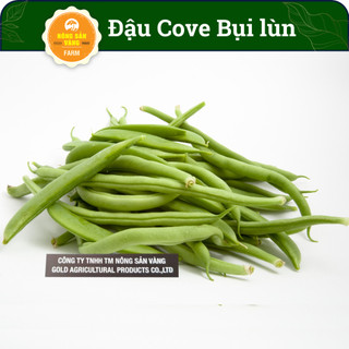 Hạt giống Đậu Cove Bụi Lùn, Sinh Trưởng Khỏe, Dạng Bụi, Hạt Trắng, Quả Xanh (Gói 10 Gram) - Nông Sản Vàng