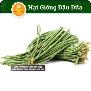 Hạt giống đậu bún nảy mầm cao, dễ chăm sóc, giàu giá trị dinh dưỡng - nông sản vàng
