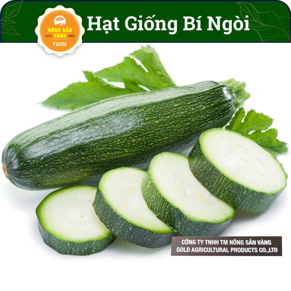 Hạt giống Bí Ngòi ( Gói 10 Hạt ) - Nông Sản Vàng