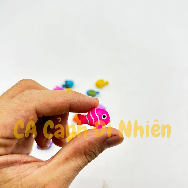 Mô hình cá NHỎ ĐỦ MÀU bằng nhựa làm tiểu cảnh trang trí hồ cá Terrarium size 3 cm