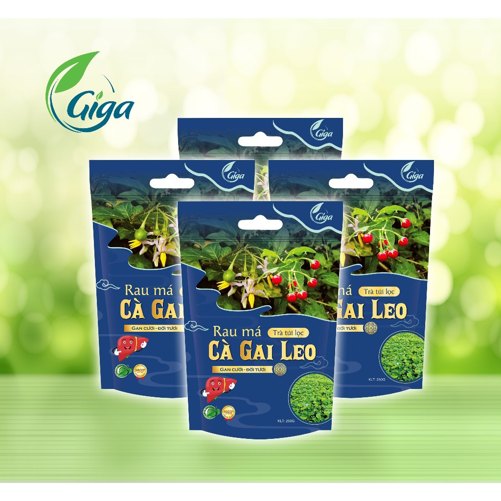 (Có Quà Tặng) Trà Túi Lọc Rau Má - Cà Gai Leo Hỗ Trợ Men Gan, Thanh Lọc Cơ Thể 250G