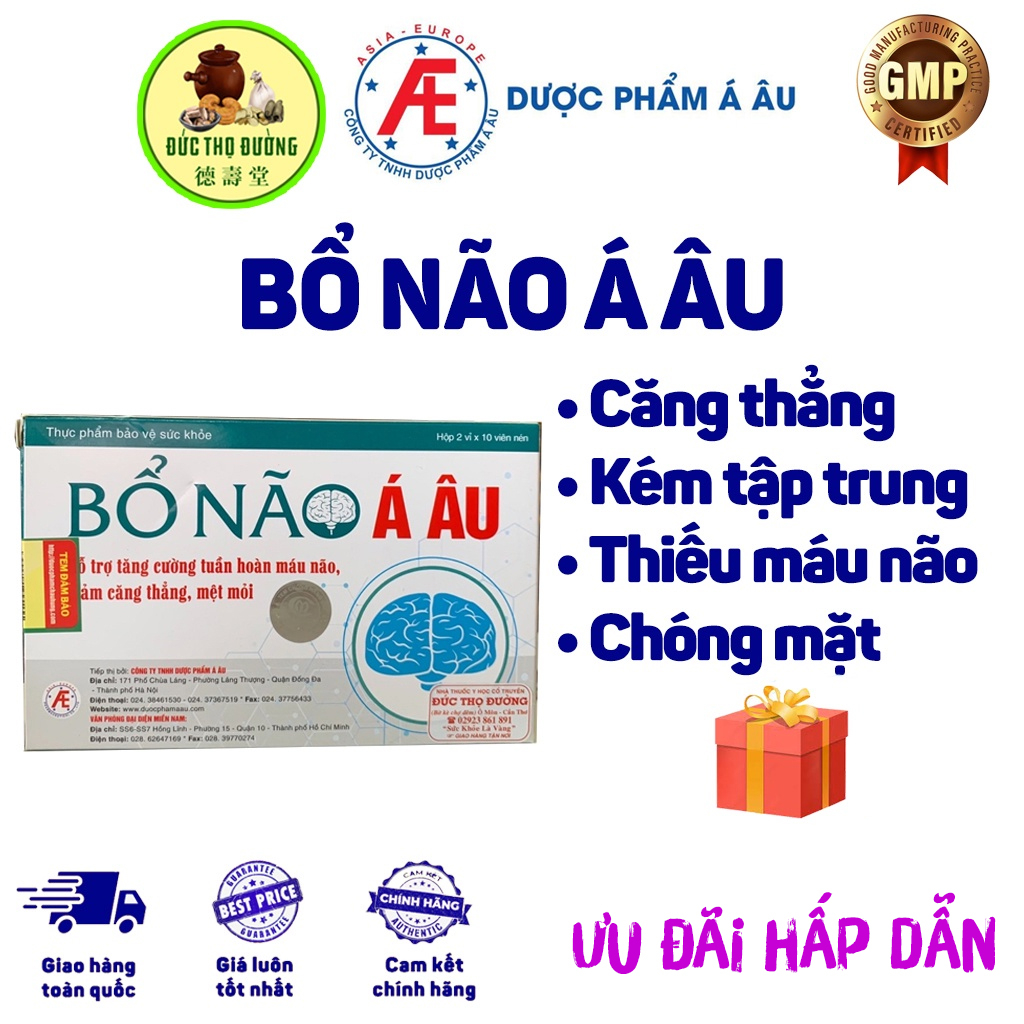 Bổ Não Á Âu - tăng cường tuần hoàn máu não, giảm căng thẳng, mệt mỏi