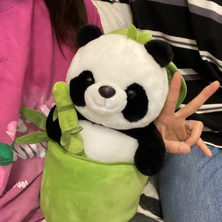 Gấu bông Panda cây trúc